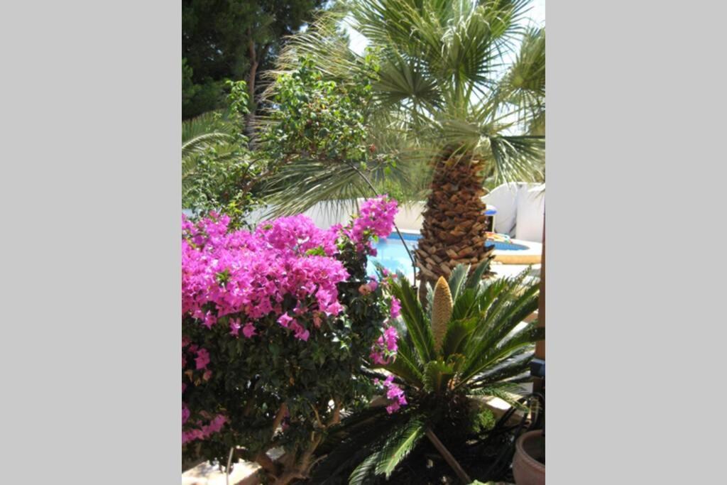 Casa Sobre El Mar, A Beautiful Oasis 1000m From Beach * Calp